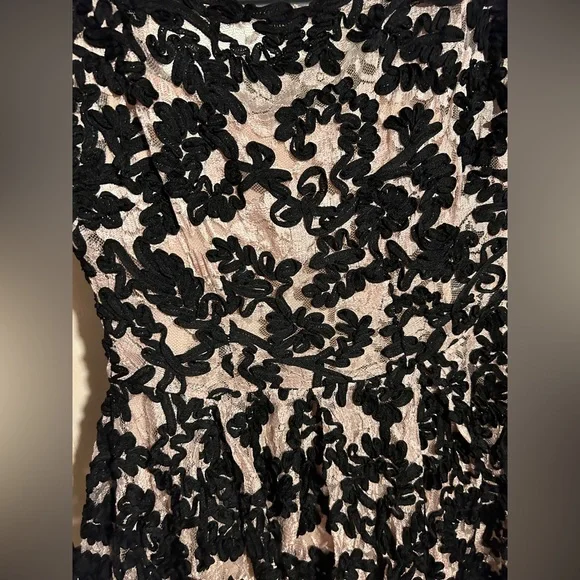 Yoana Baraschi Anthropologie Sheer Jardim Lace Dress Black Women’s Sz 4 - Picture 4 of 10